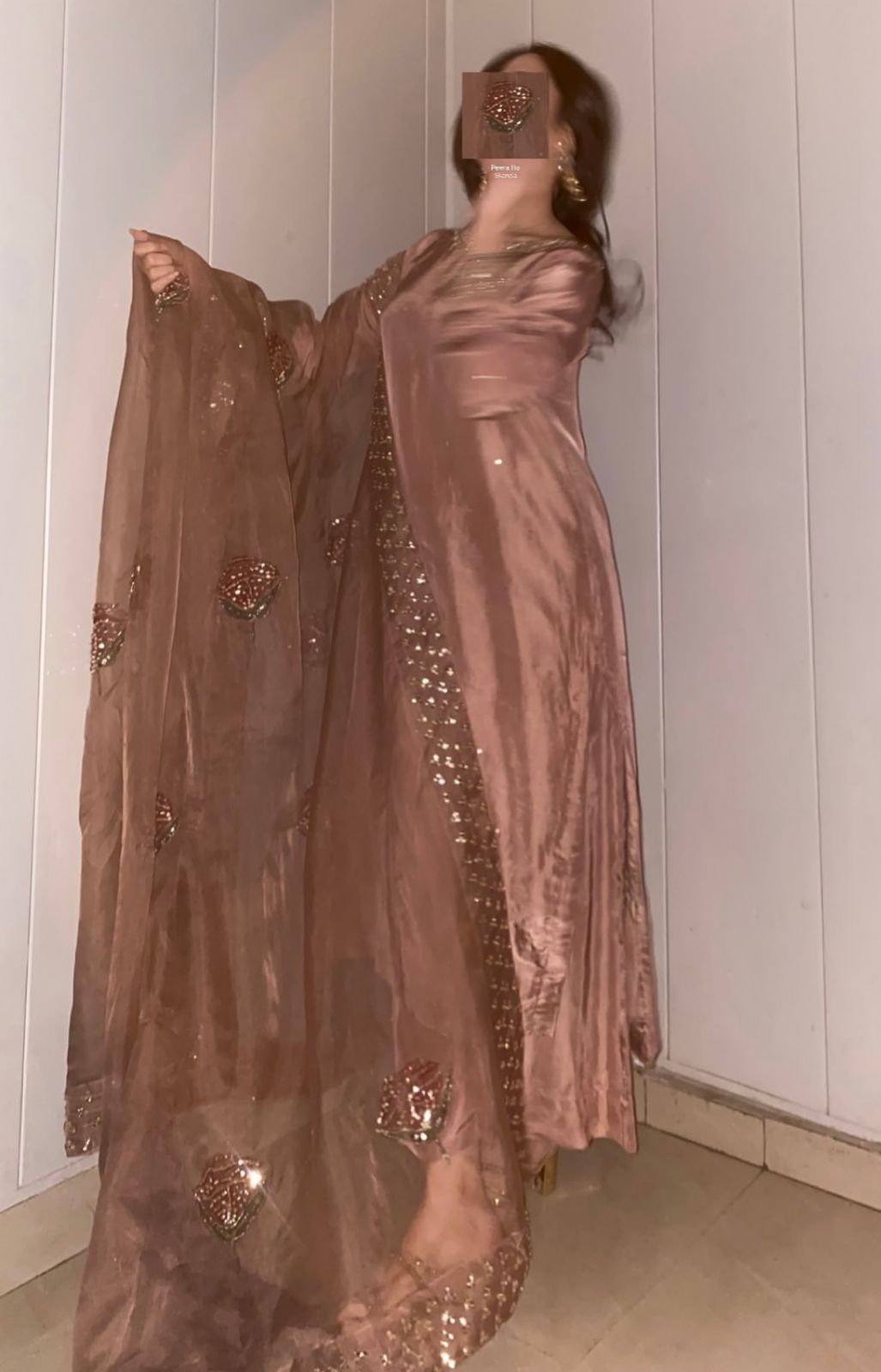 Cotton Silk Fabric / Pure Organza